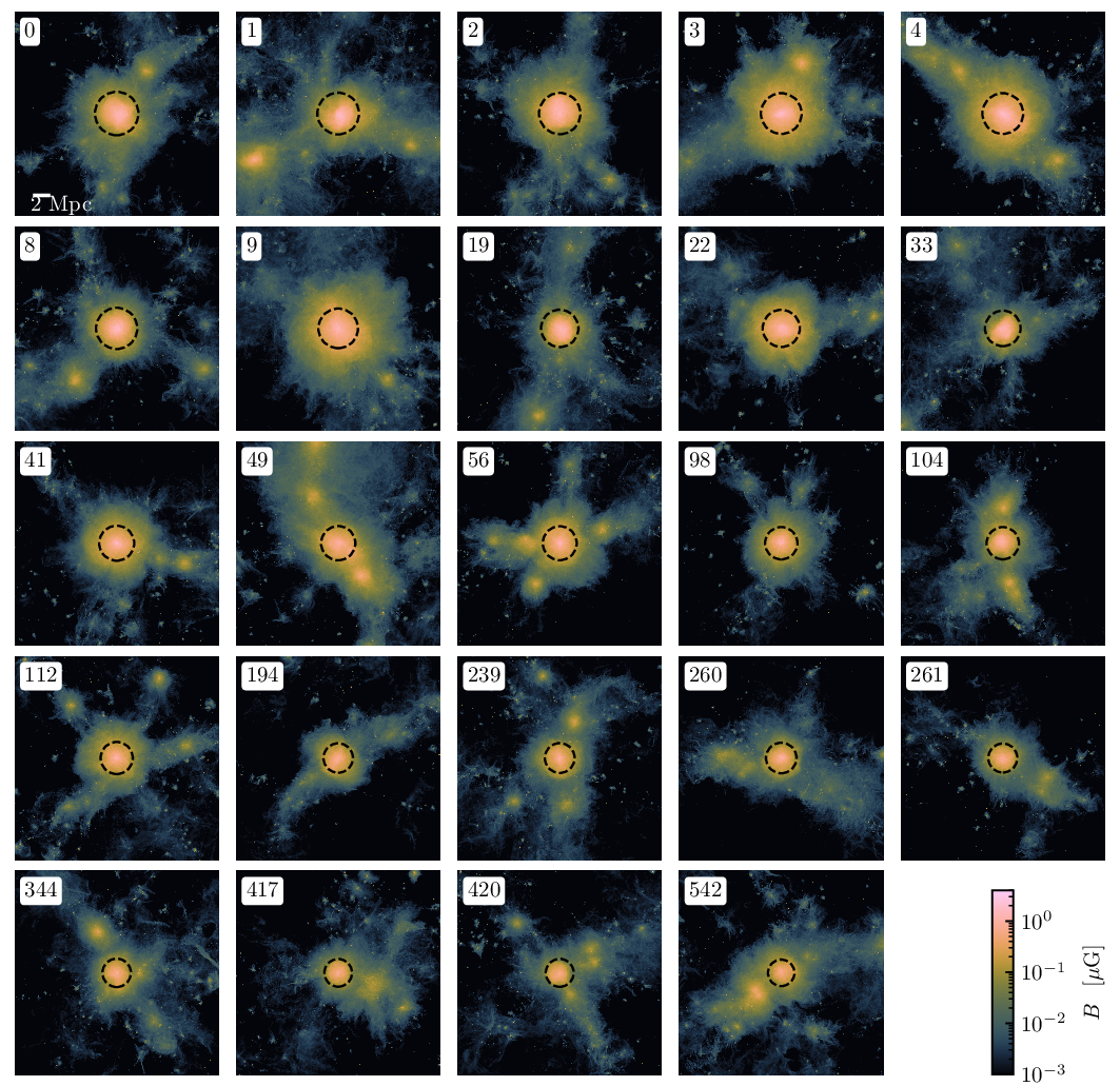 Cluster sample — Magnetic field