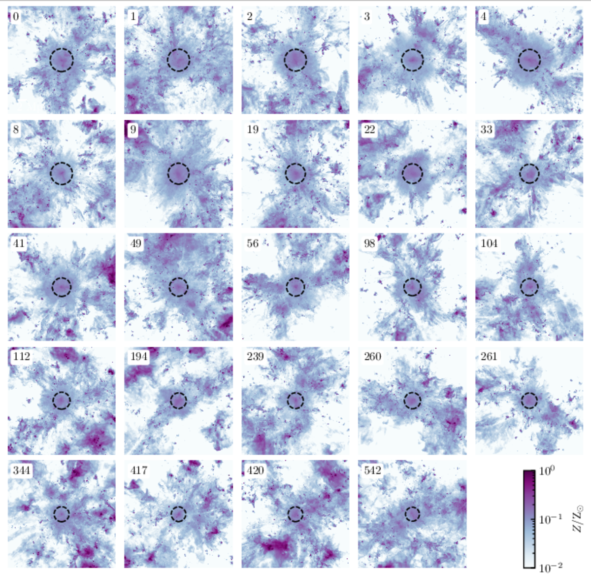 Cluster sample — Metallicity