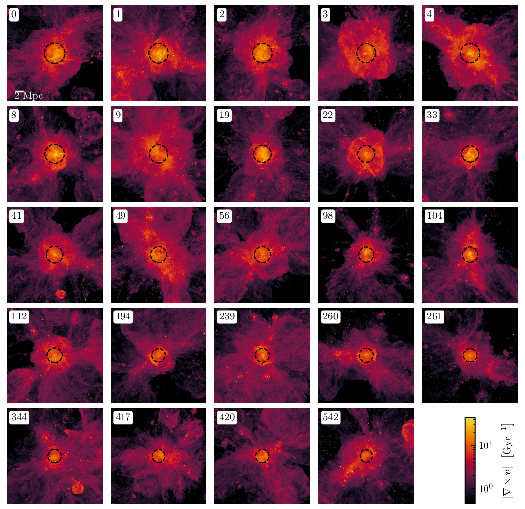 Cluster sample — Vorticity